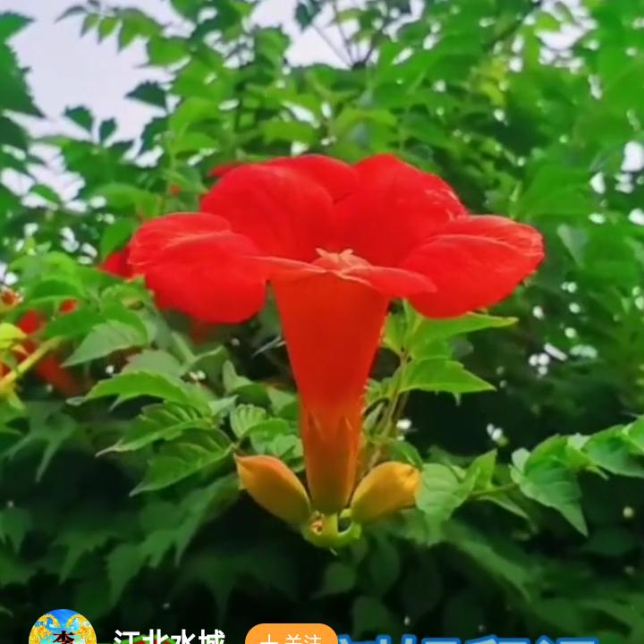 罗姐