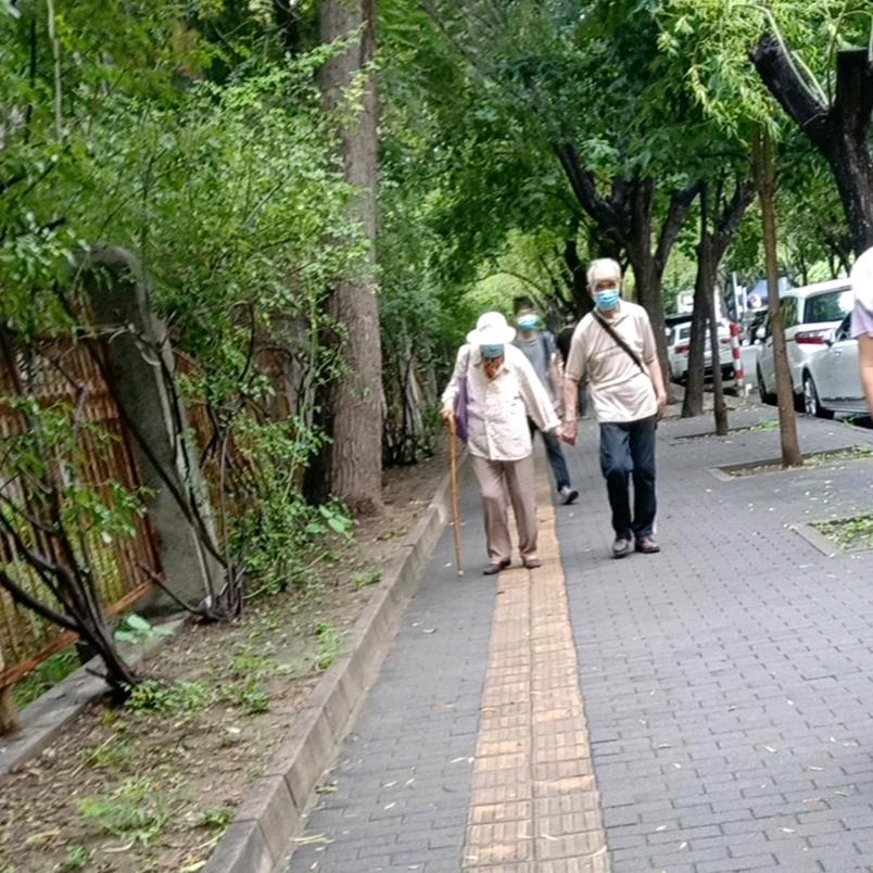 张知乐
