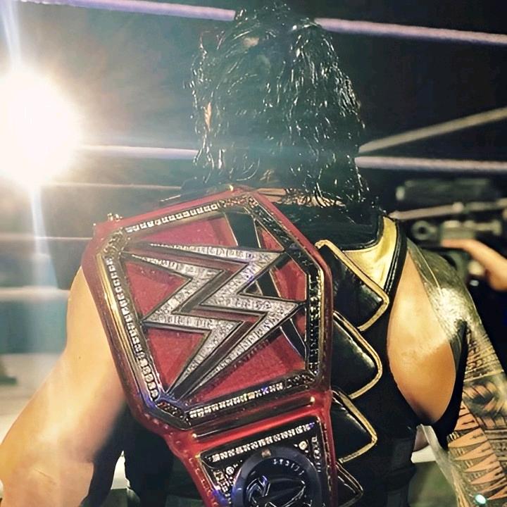 WWE UNIVERSE