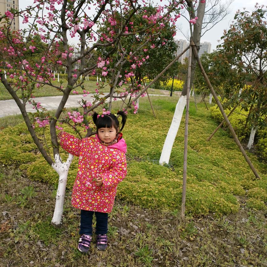因为我知道