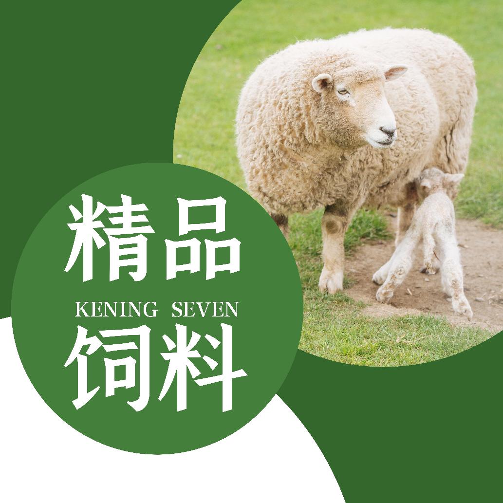 牧阳养殖李士远