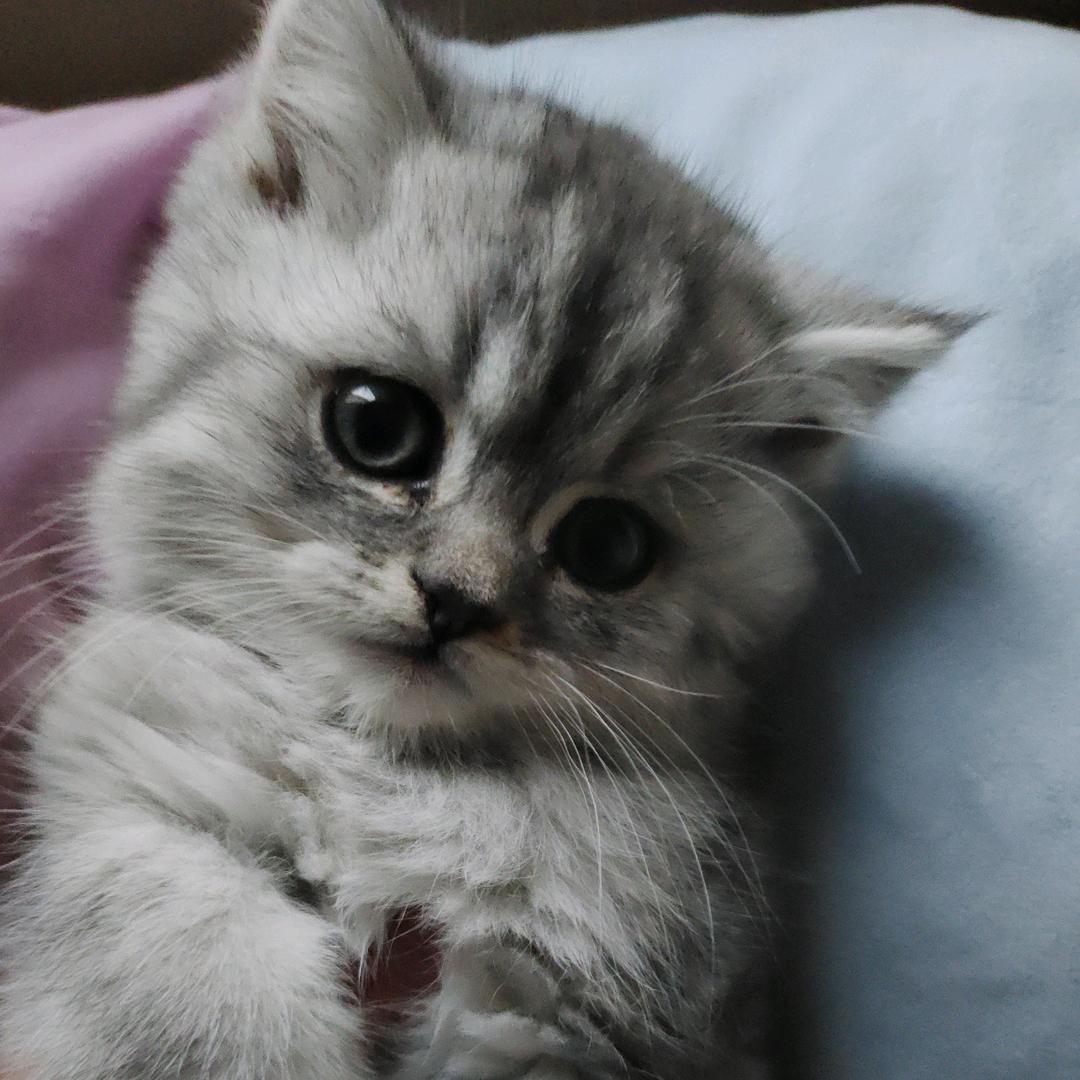 發 發😸