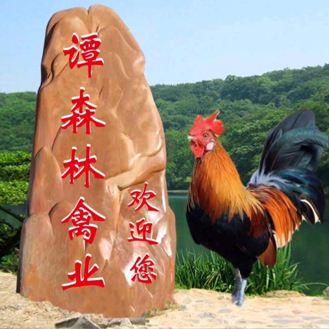 谭森林禽业
