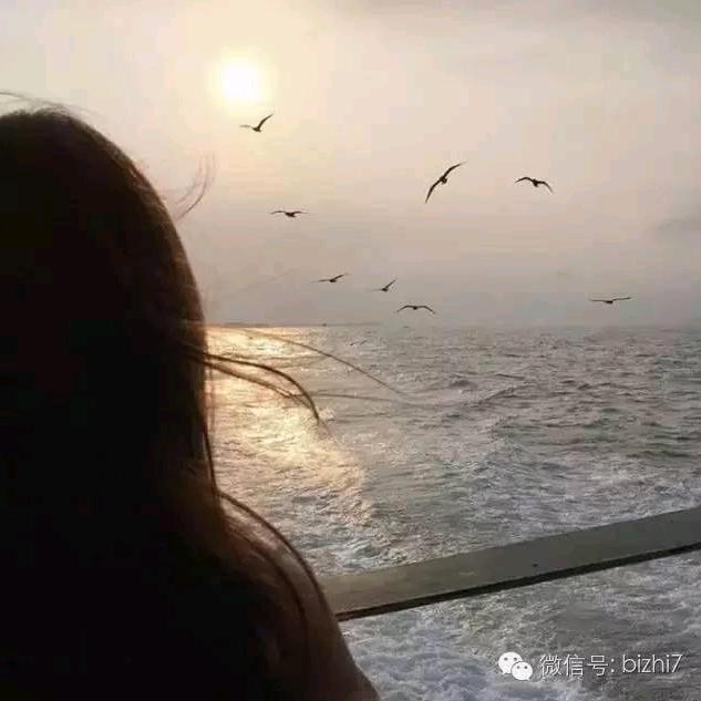 এ᭄゛๓z･°*群