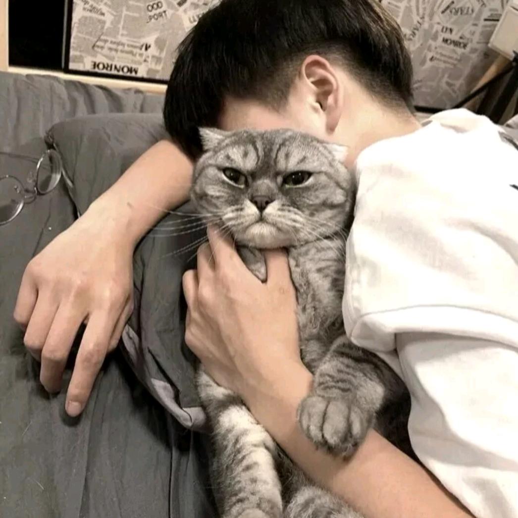 *꯭͡挽枫ω