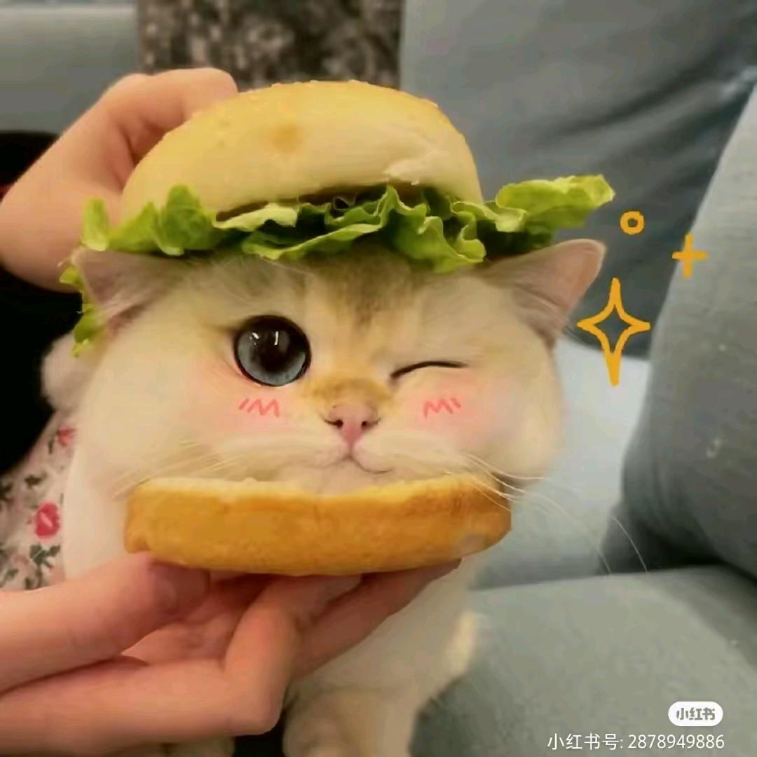 小可爱💖