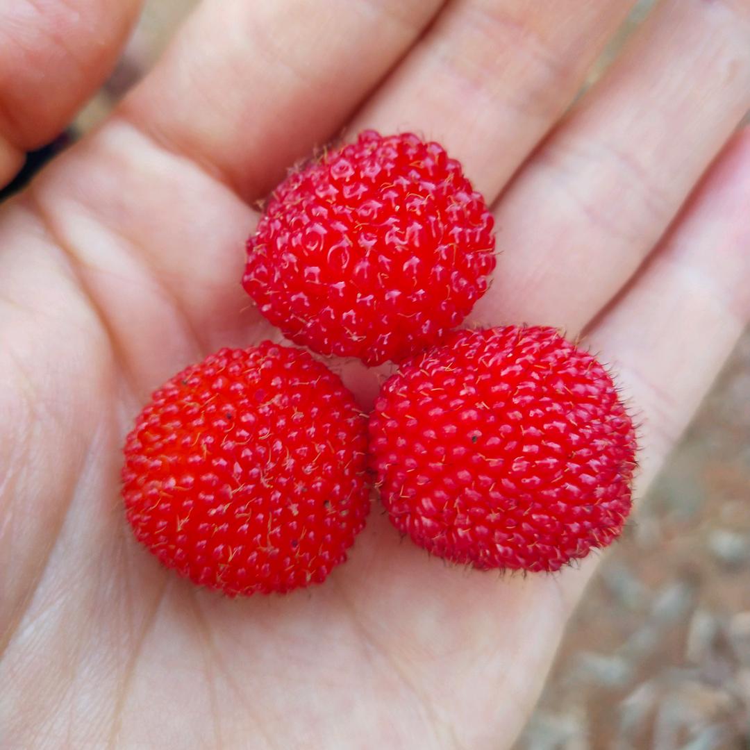 浮梁县拾一民宿