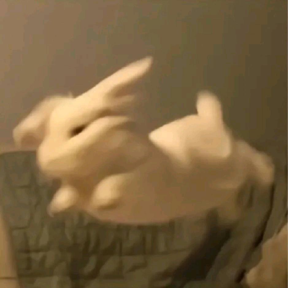 嘻嘻👀