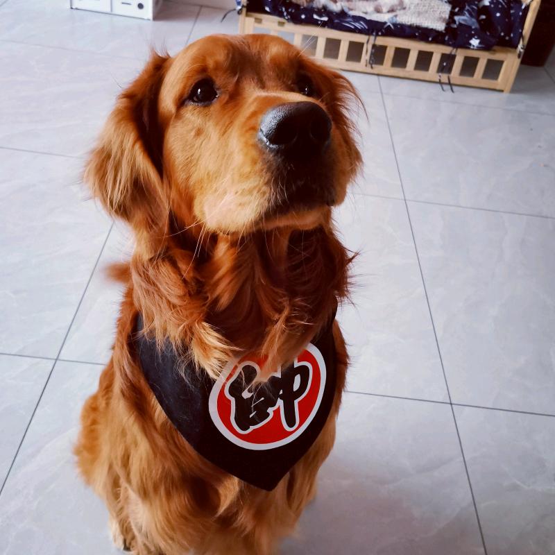 🥞美科肉夹馍🥞