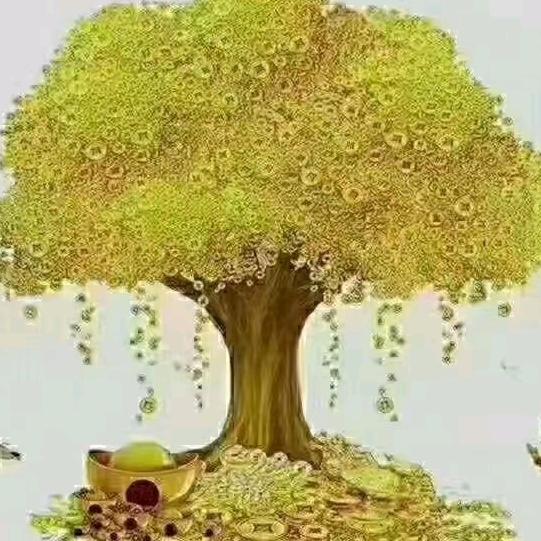 聪