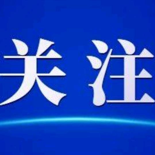 ╭(╯ε╰)╮颜值兔出