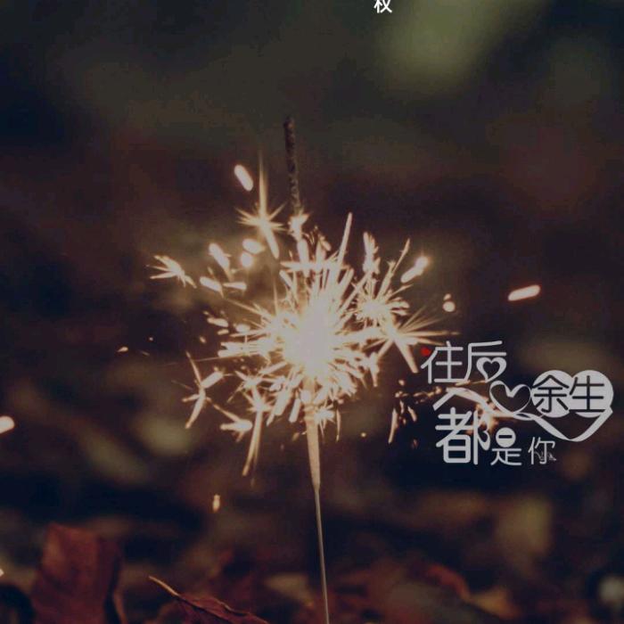 只为那个爱的人