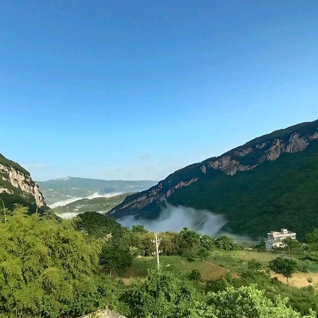 松鹤一杆枪