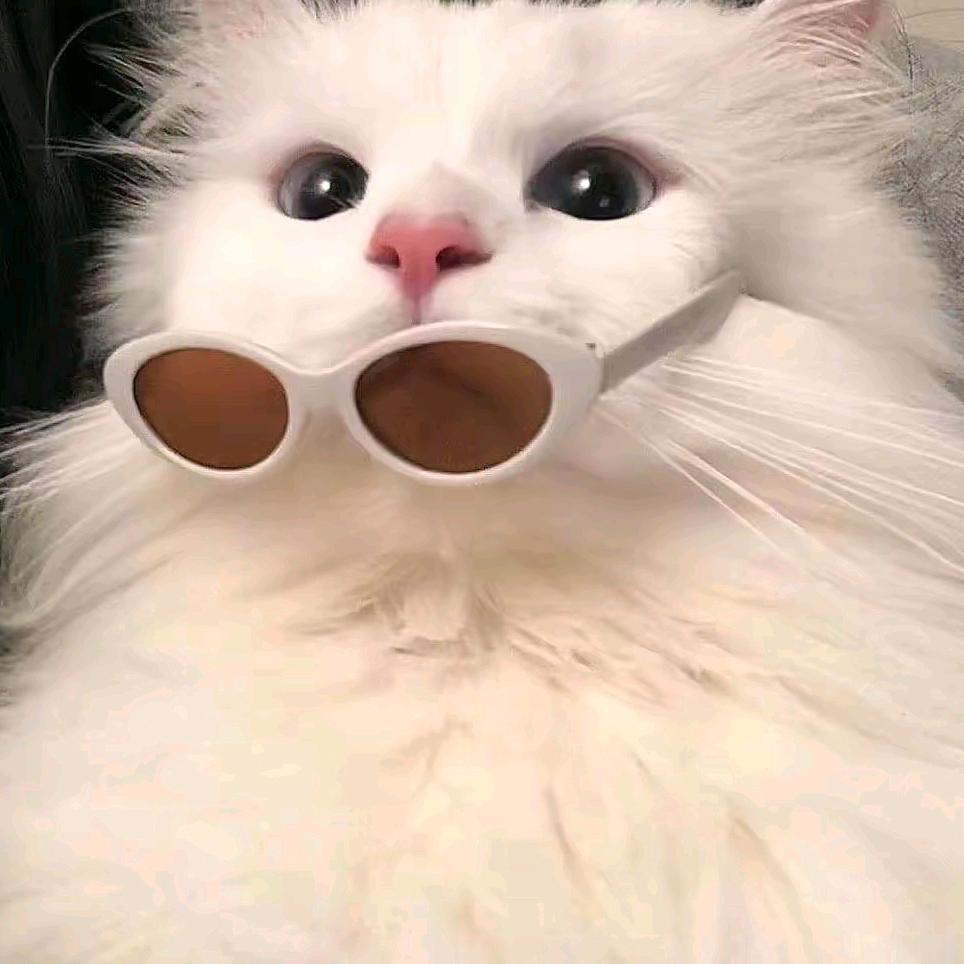 小若