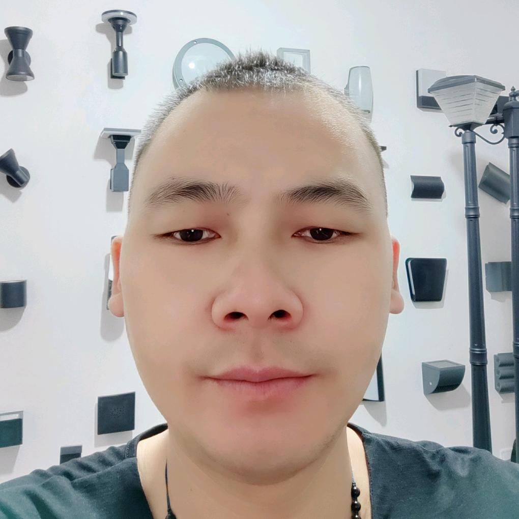 户外灯太阳能草坪灯庭院灯柱头灯（大杨哥）