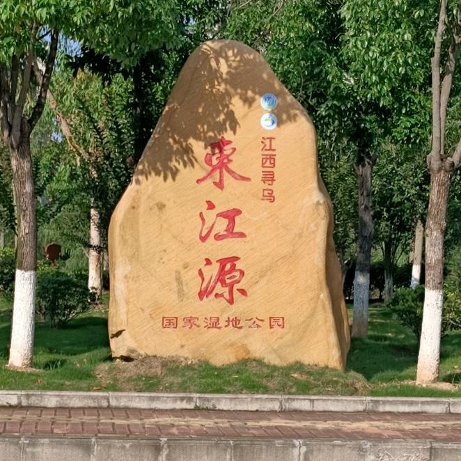 寻乌东江源奇石