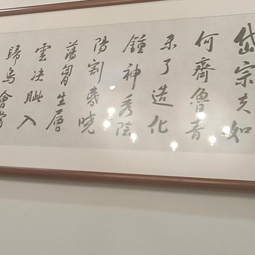 沙丁鱼