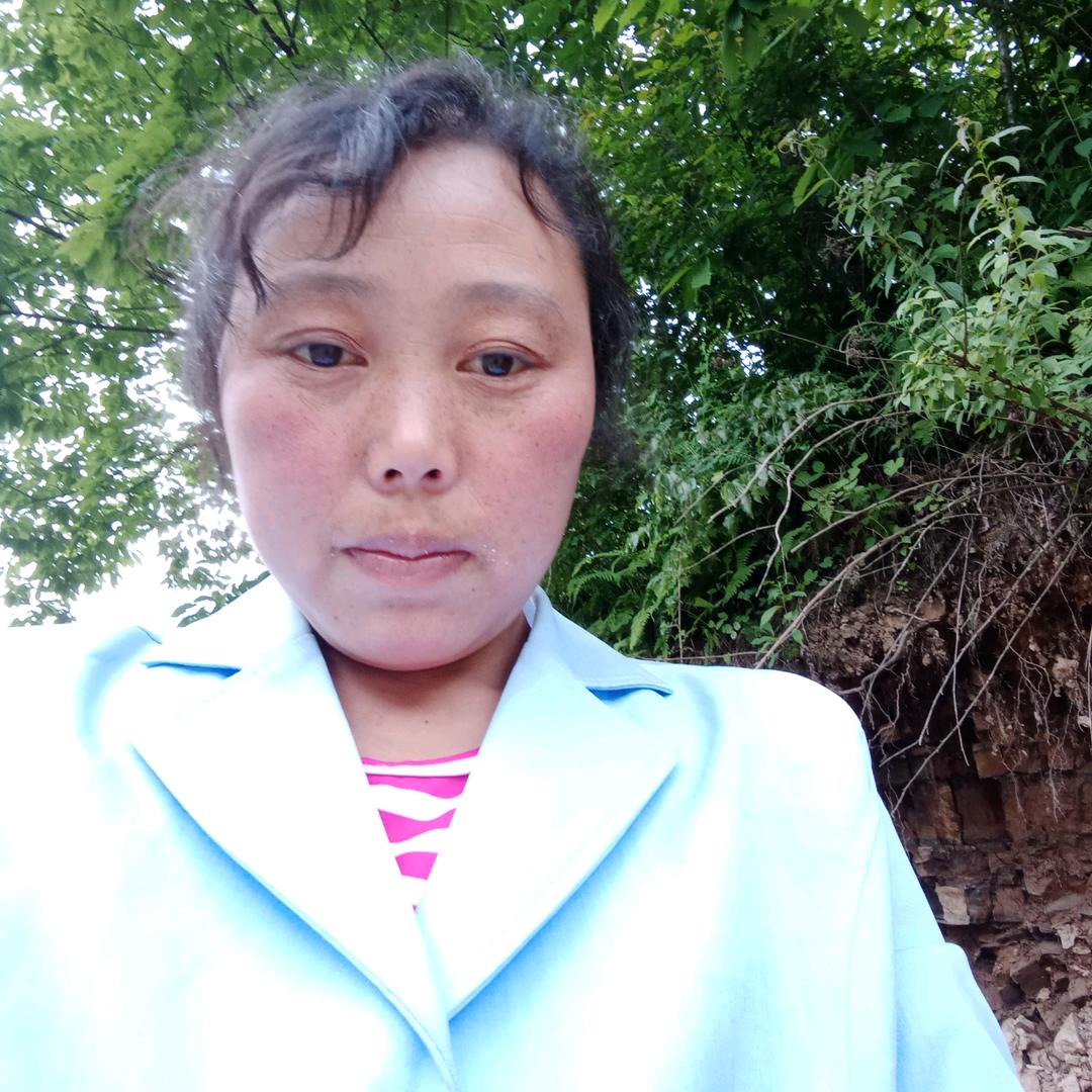 珍兰
