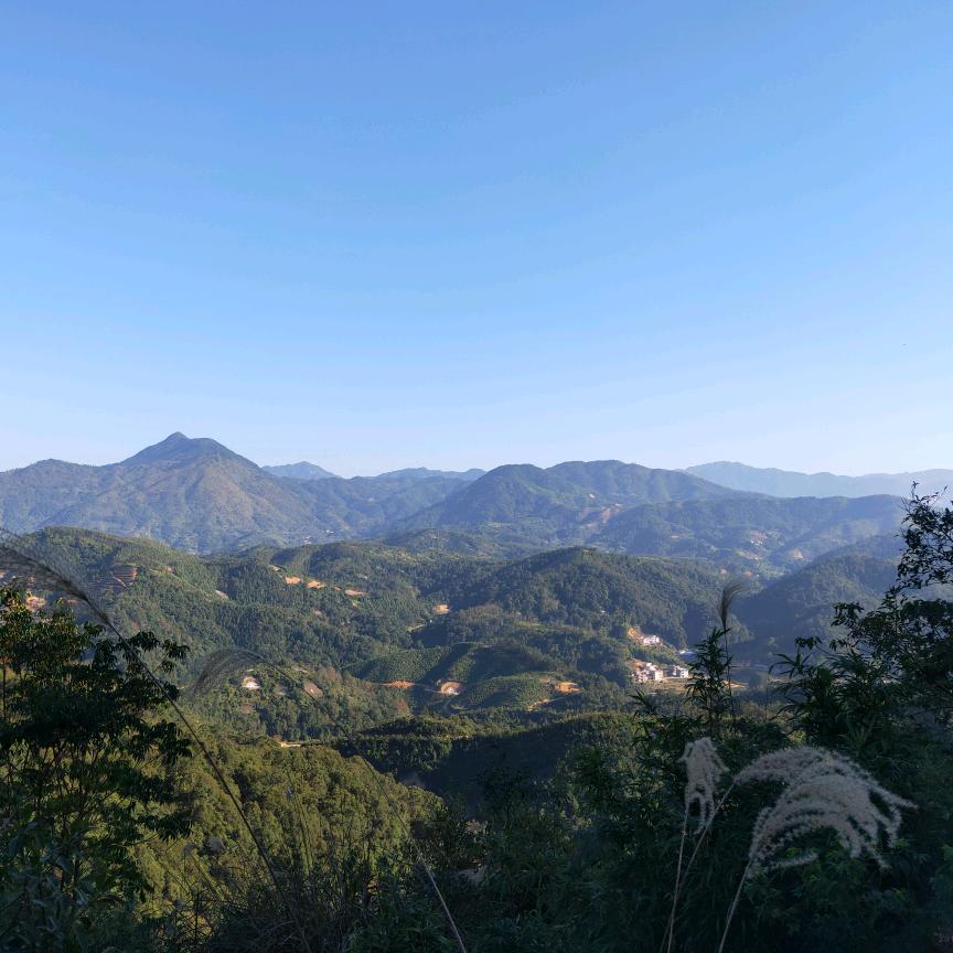 叁拾贰䪽（我休假）