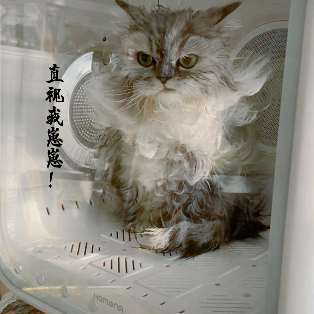 压不住火了 　　　　　　     ╲