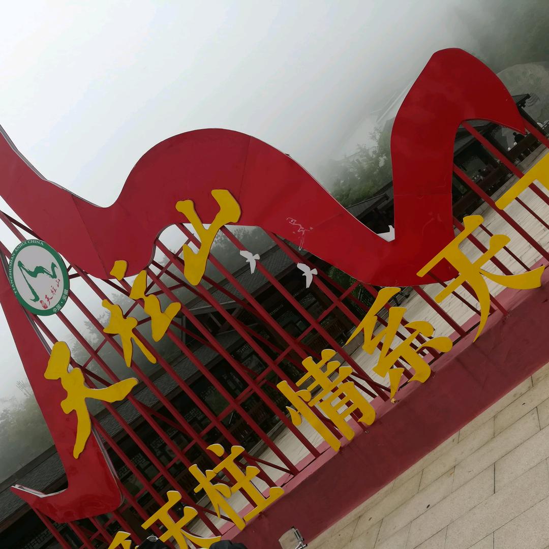 随心所欲