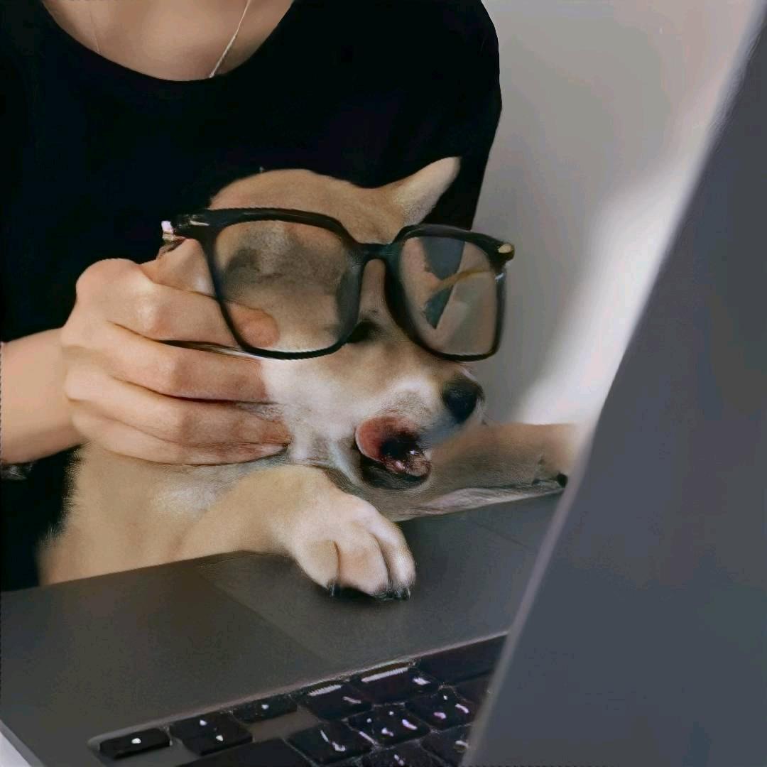 天q