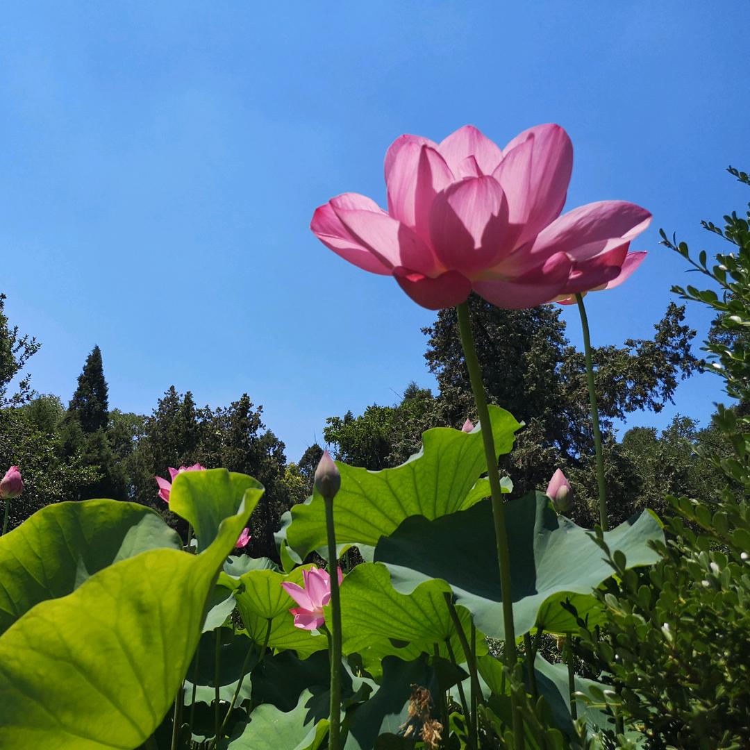 一笑而过
