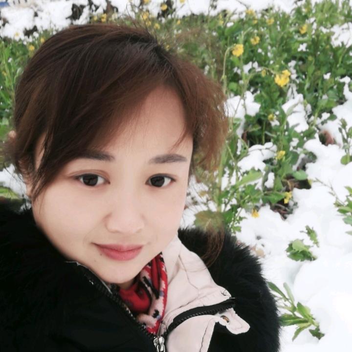 💞燕子