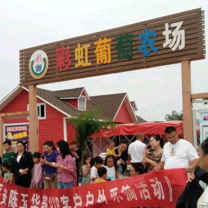 彩虹葡萄农场