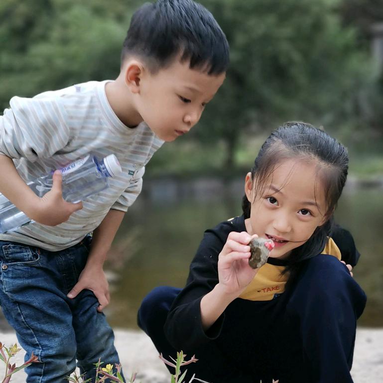 叶子清晨
