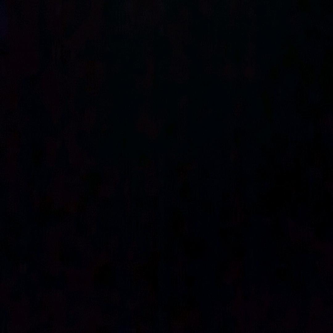 一个搬运工