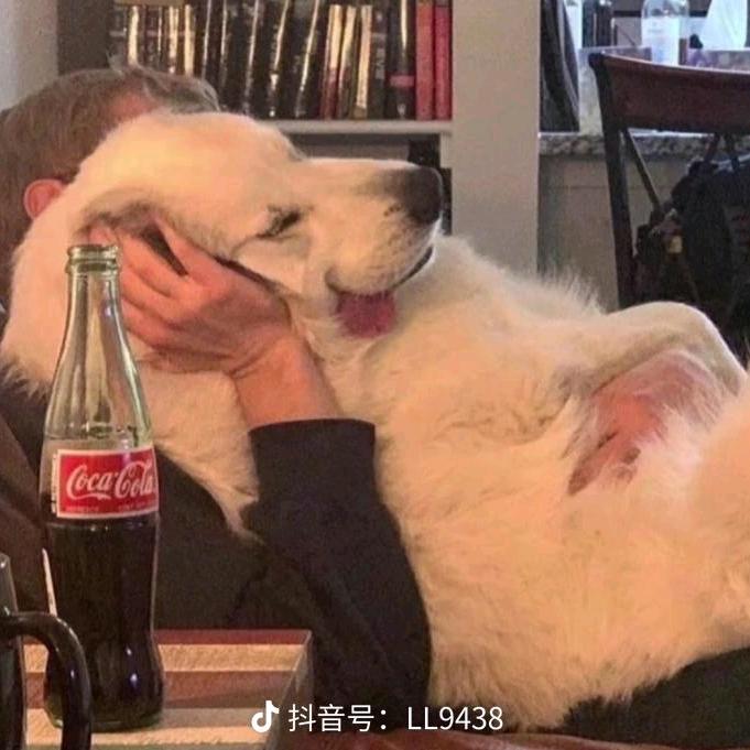 白~