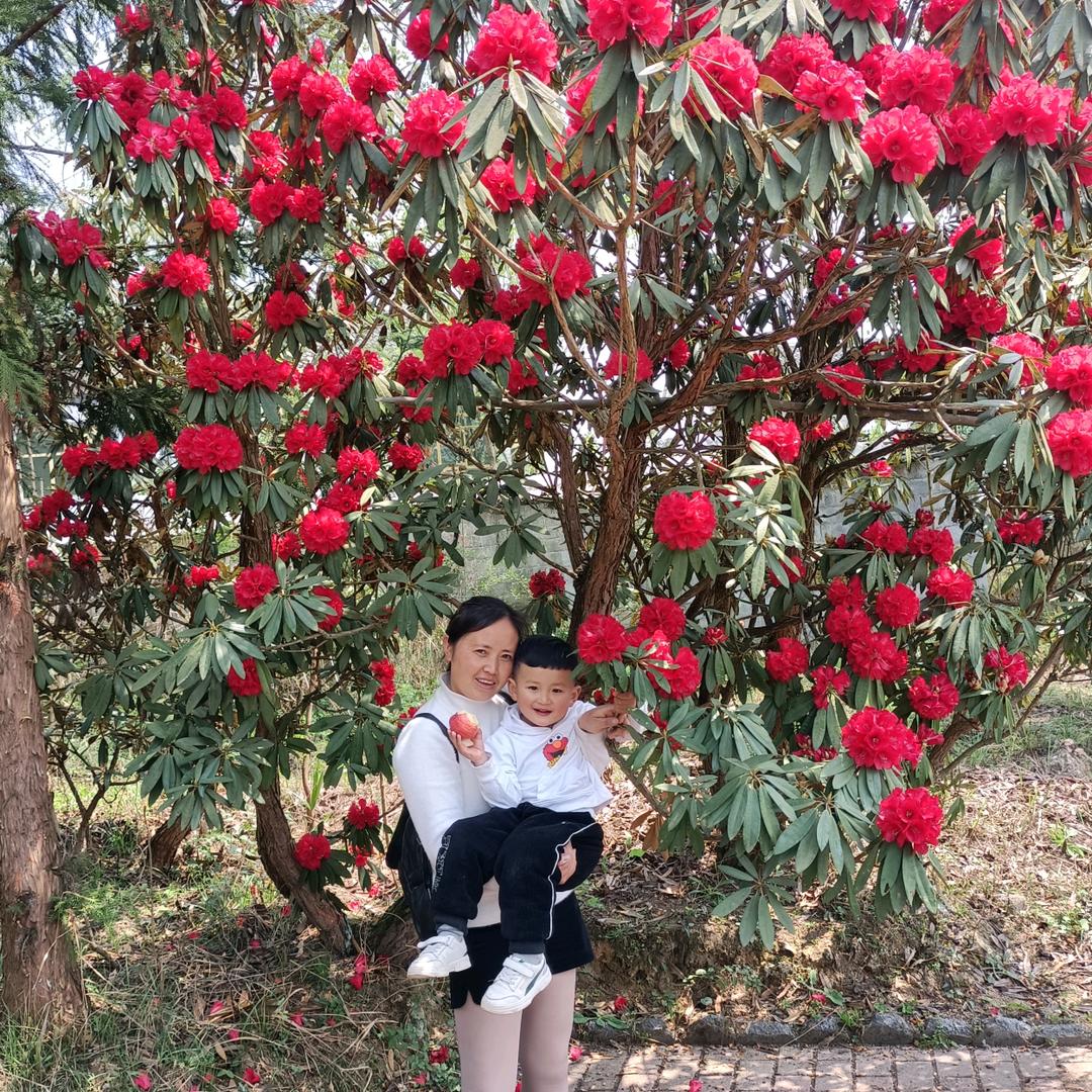李清灵