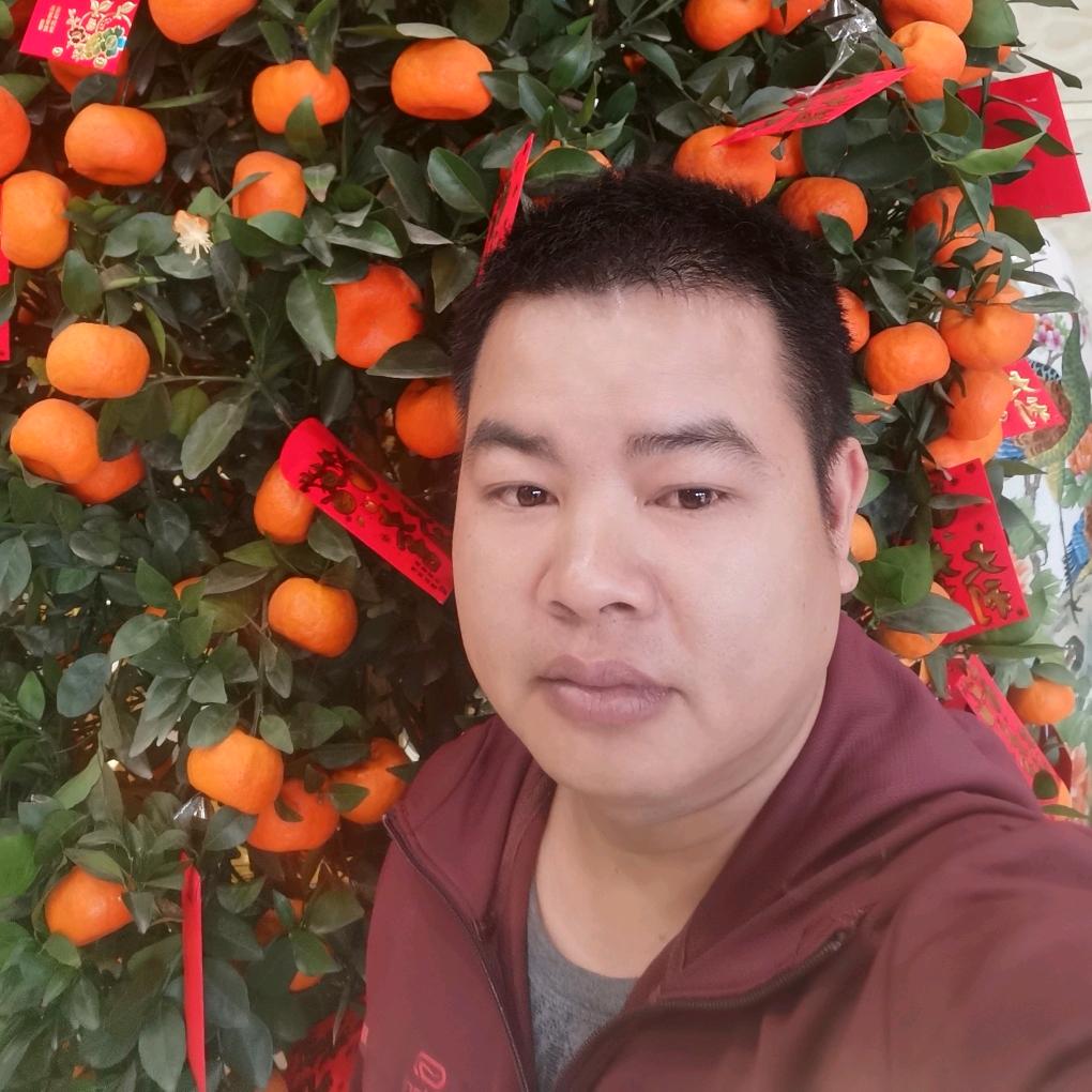pita zhang