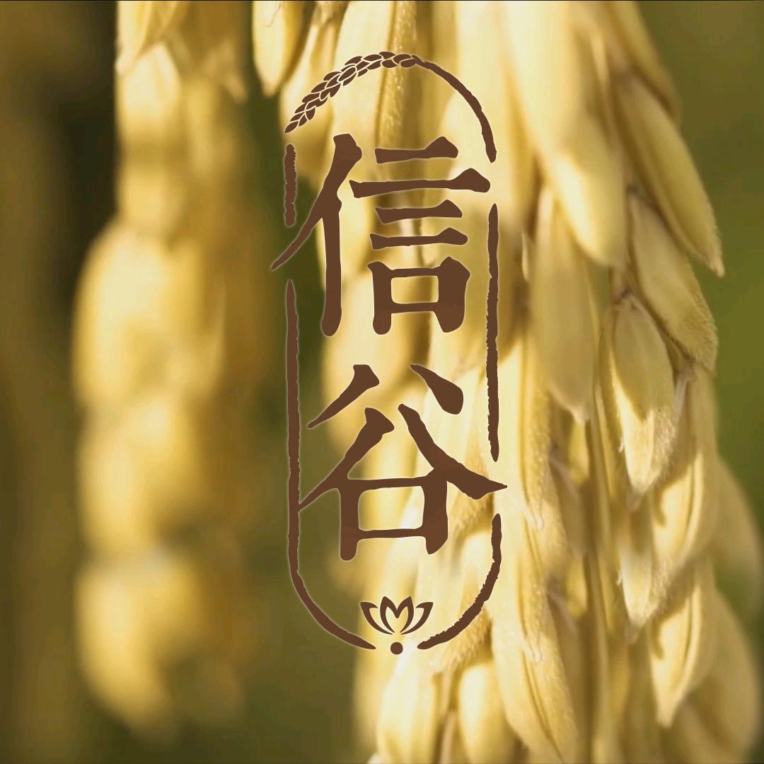 信谷米粒儿