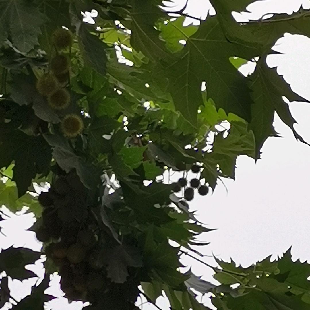 &~人生如茶～&
