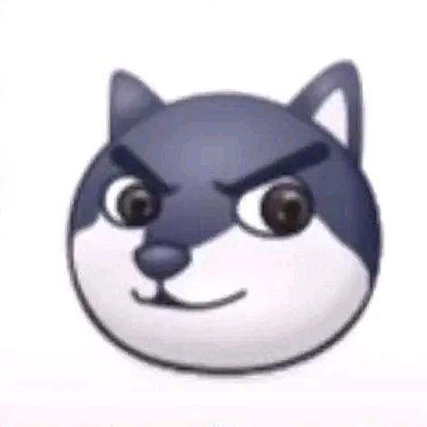 🐶🐶🐶🐶🐶🐶🐶🐶🐶🐶