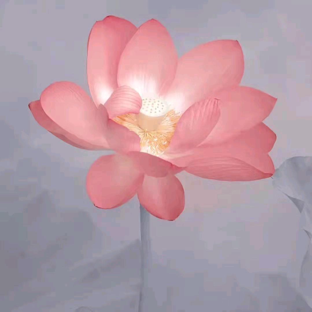 心想事成