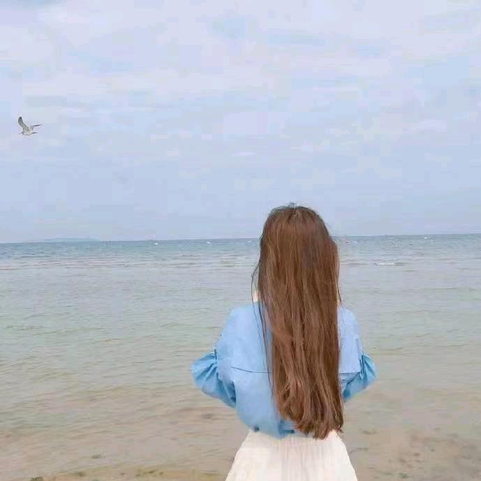 心昕