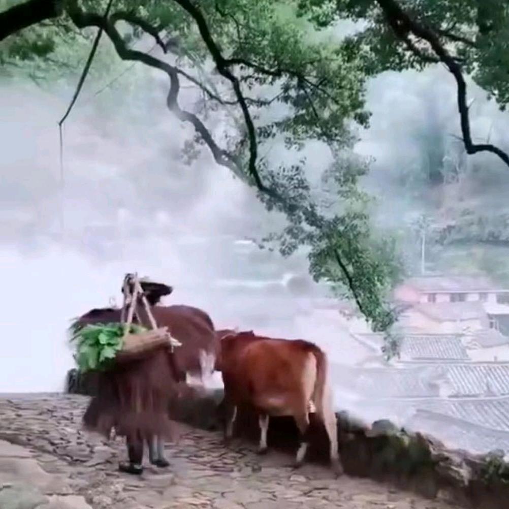 速度·激情