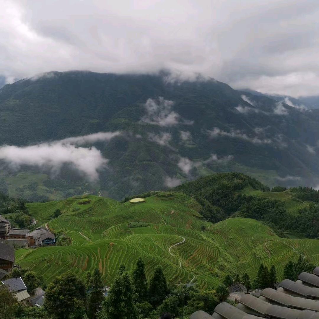闯九周