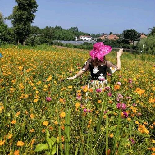 芮袆