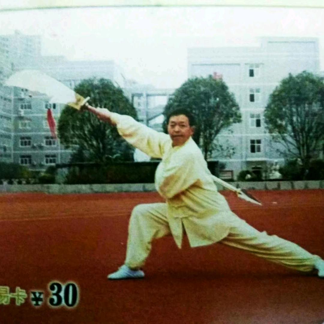 武魂杨铁弟