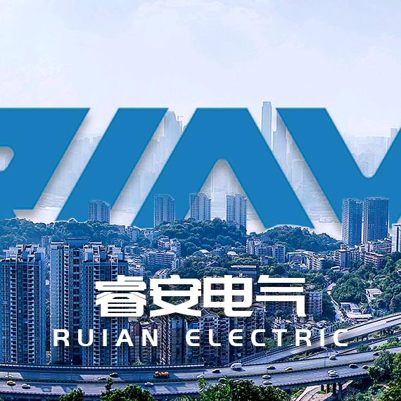 浙江睿安电气有限公司