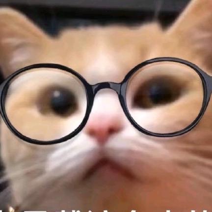 🌈lzy（种植小户）