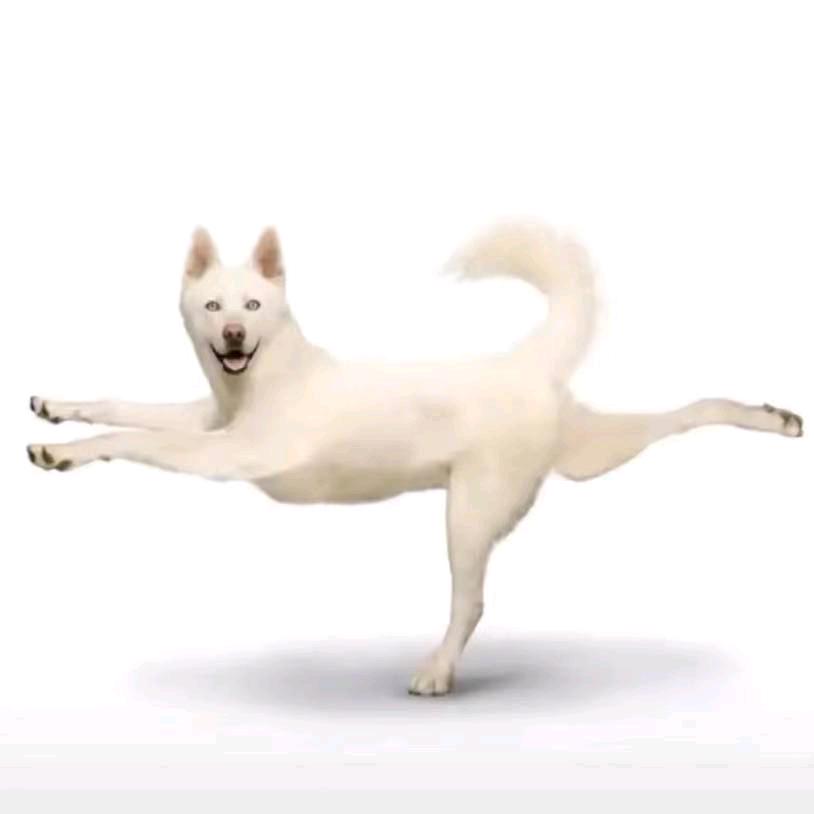 垃圾回收A姐
