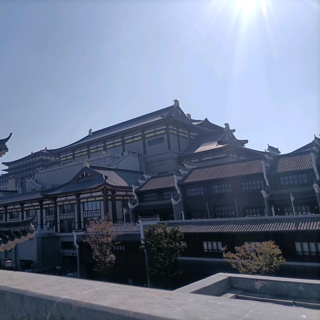 @爱芒果的小麒麟