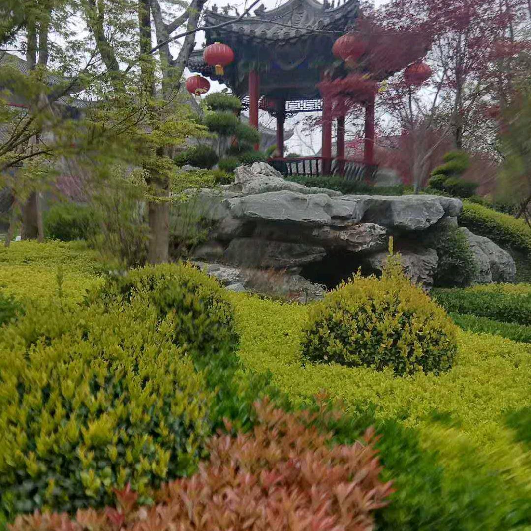 狼道