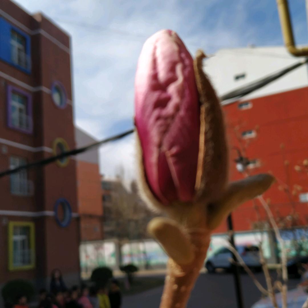 三爷