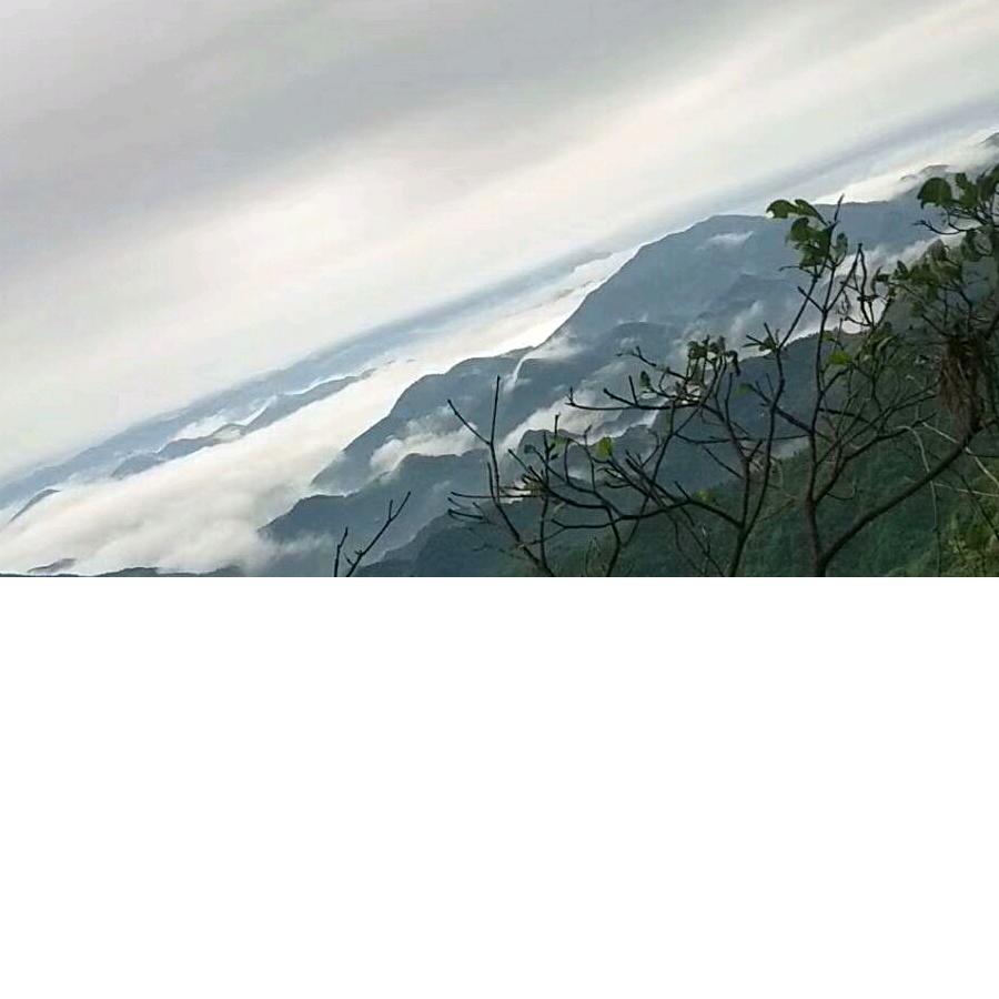 淡水鱼